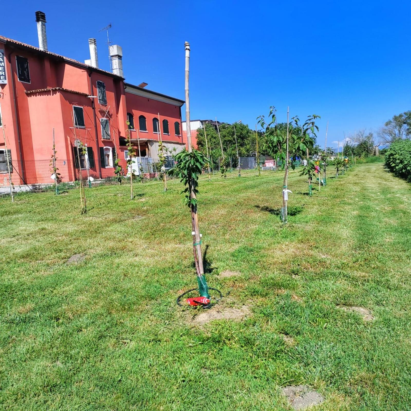 Quadrifoglio Relax Guest House San Dona di Piave Exterior photo